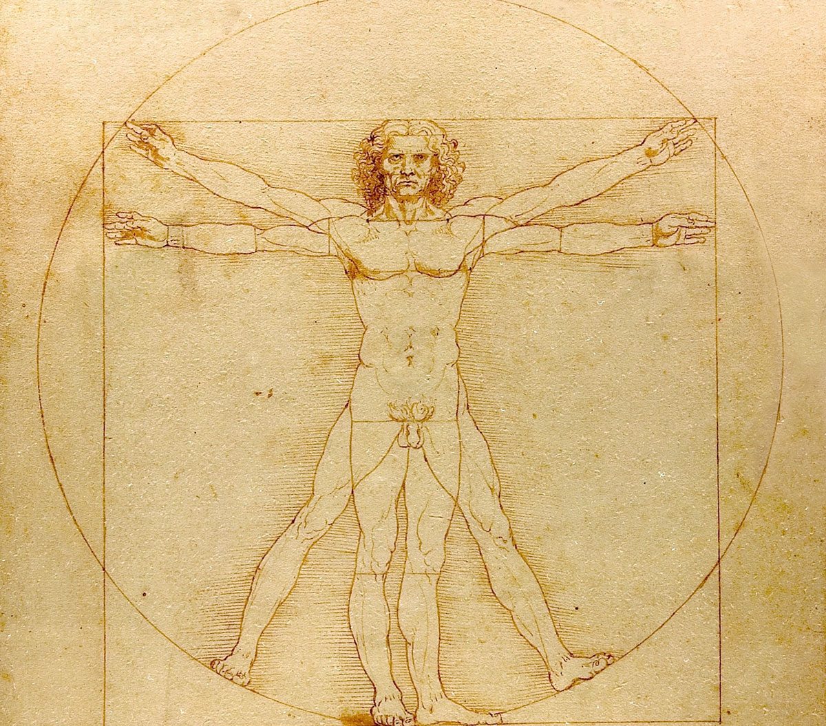 Vitruvianischer Mensch von Leonardo